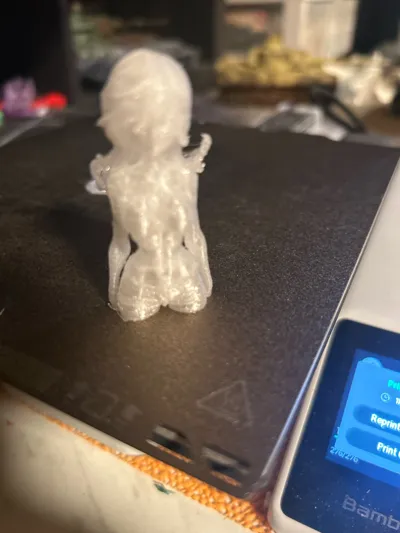 https://makerworld.bblmw.com/makerworld/comment/20260306/1097664351/e632e56464e65c42.jpg