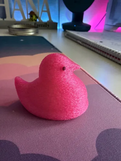 https://makerworld.bblmw.com/makerworld/comment/20260306/1202377292/7b1f0236f2358865.jpg