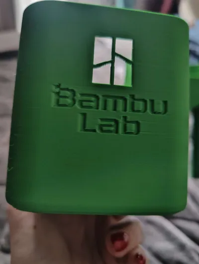 https://makerworld.bblmw.com/makerworld/comment/20260306/1352733159/f2a30ba7da24c078.jpg