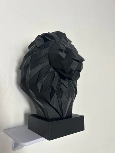https://makerworld.bblmw.com/makerworld/comment/20260306/1499081127/4ffbcd2a3149a851.jpg