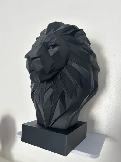 https://makerworld.bblmw.com/makerworld/comment/20260306/1499081127/8009a9622a30ac39.jpg
