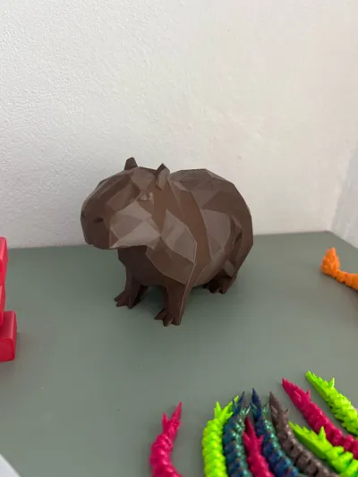 https://makerworld.bblmw.com/makerworld/comment/20260306/1499081127/b89da0a9ac88ff0d.jpg