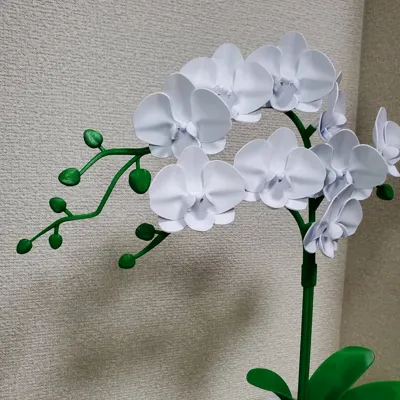 https://makerworld.bblmw.com/makerworld/comment/20260306/179601728/204d31f8217754f1.jpg