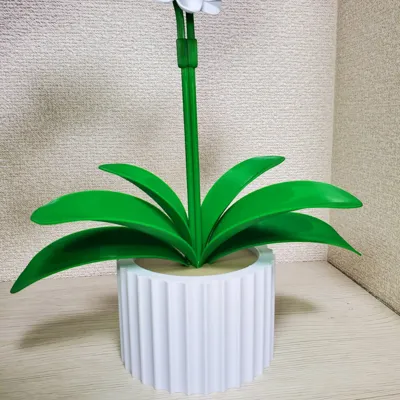 https://makerworld.bblmw.com/makerworld/comment/20260306/179601728/461caa93522012ed.jpg