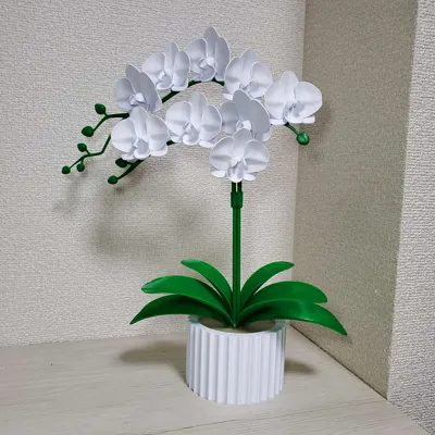 https://makerworld.bblmw.com/makerworld/comment/20260306/179601728/b0d338acbfc23a72.jpg