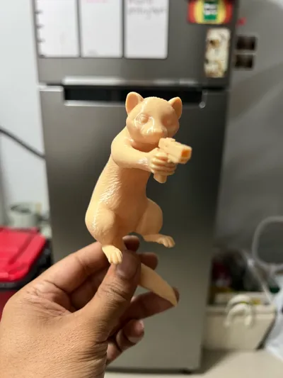 https://makerworld.bblmw.com/makerworld/comment/20260306/2019078042/5f8cd4ccef2c4a4f.jpg