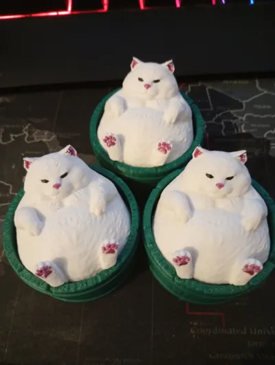 https://makerworld.bblmw.com/makerworld/comment/20260306/2165011441/da3ce9cfaf4eaa85.jpg