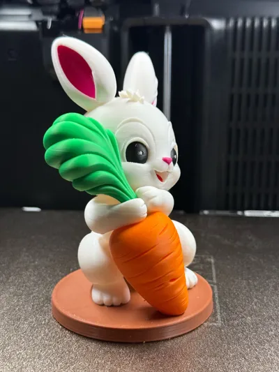 https://makerworld.bblmw.com/makerworld/comment/20260306/273075151/42cd32f41c11ebfb.jpg