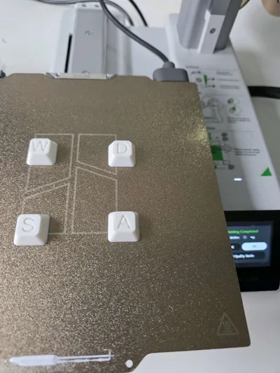 https://makerworld.bblmw.com/makerworld/comment/20260306/2817821925/2434694a928a43a7.jpg