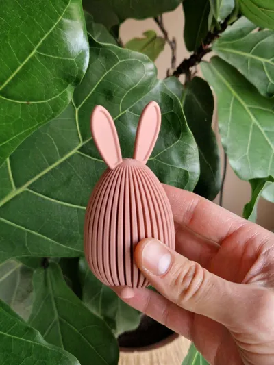 https://makerworld.bblmw.com/makerworld/comment/20260306/3062202469/15f14f8190cc7dbb.jpg