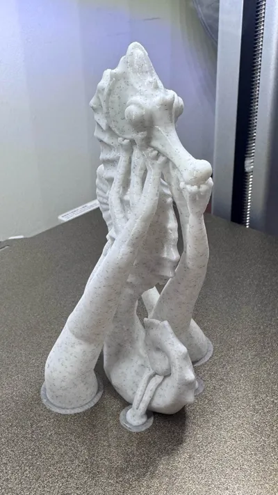 https://makerworld.bblmw.com/makerworld/comment/20260306/3465878812/bc6415af70449144.jpg