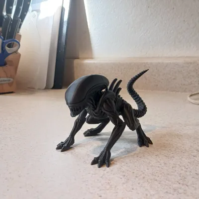 https://makerworld.bblmw.com/makerworld/comment/20260306/3693468540/938badd0b463c710.jpg