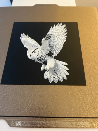 https://makerworld.bblmw.com/makerworld/comment/20260306/3968060298/c94213b629754557.jpg