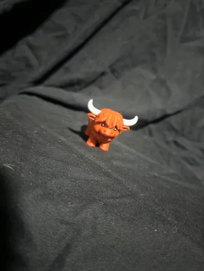 https://makerworld.bblmw.com/makerworld/comment/20260306/4038921199/8222d1f6799f7154.jpg