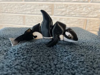 https://makerworld.bblmw.com/makerworld/comment/20260306/4264186944/96b6bd6b7aa40bf3.jpg
