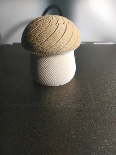 https://makerworld.bblmw.com/makerworld/comment/20260306/461326256/9d6e55c31c68151c.jpg