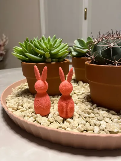 https://makerworld.bblmw.com/makerworld/comment/20260306/501885860/7c8e829568e2f18e.jpg