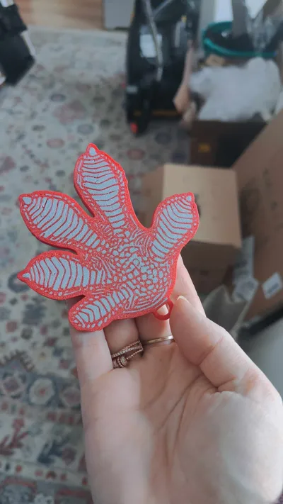 https://makerworld.bblmw.com/makerworld/comment/20260306/702601506/c83fe74964ad75a2.jpg