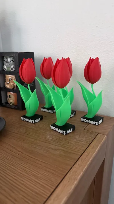 https://makerworld.bblmw.com/makerworld/comment/20260306/858610669/1503c43b35c8cad2.jpg