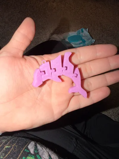 https://makerworld.bblmw.com/makerworld/comment/20260306/927023724/a3ac63679d7fe504.jpg