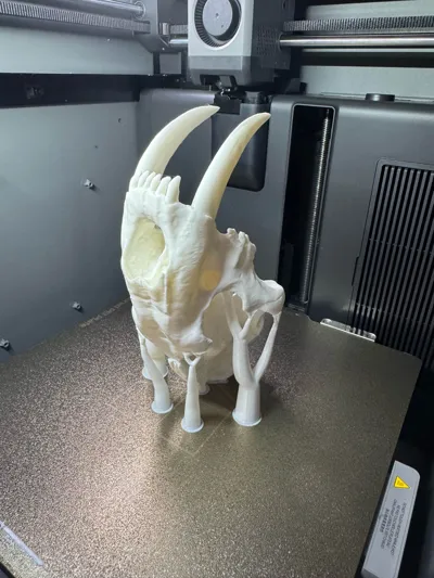 https://makerworld.bblmw.com/makerworld/comment/20260307/1015568311/08c842b16f9014ae.jpg