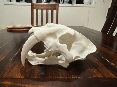 https://makerworld.bblmw.com/makerworld/comment/20260307/1015568311/457a5204f7f7044c.jpg