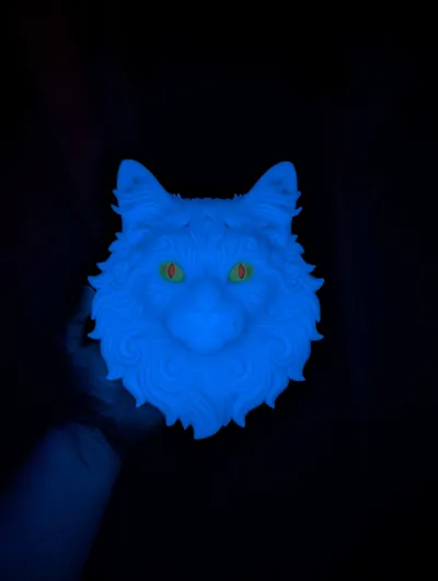https://makerworld.bblmw.com/makerworld/comment/20260307/1150792787/60bfb5ccabc92714.jpg