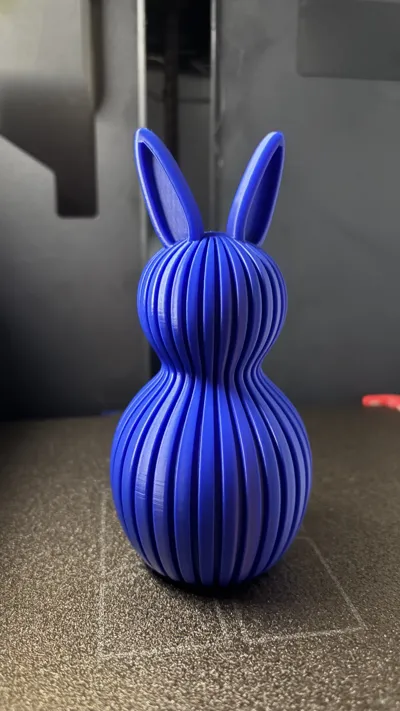 https://makerworld.bblmw.com/makerworld/comment/20260307/1641084524/46786719b245f9cb.jpeg