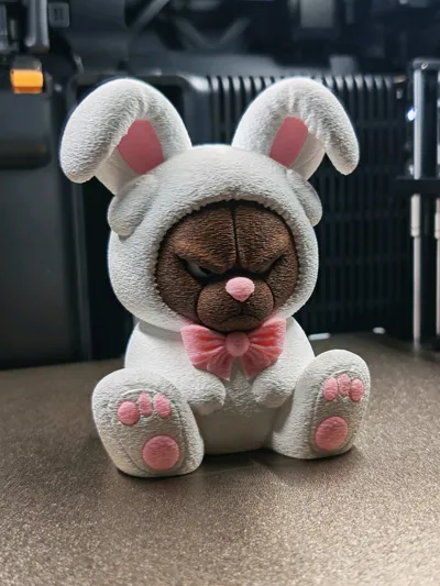 https://makerworld.bblmw.com/makerworld/comment/20260307/1645560136/8be5143ae7c66dac.jpg