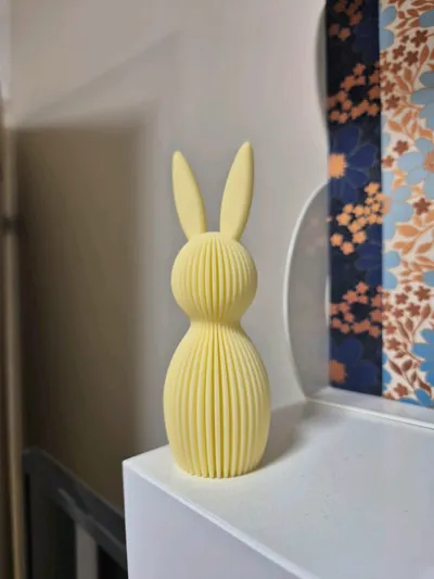 https://makerworld.bblmw.com/makerworld/comment/20260307/1731647837/7994c0d7ceeab9a5.jpg