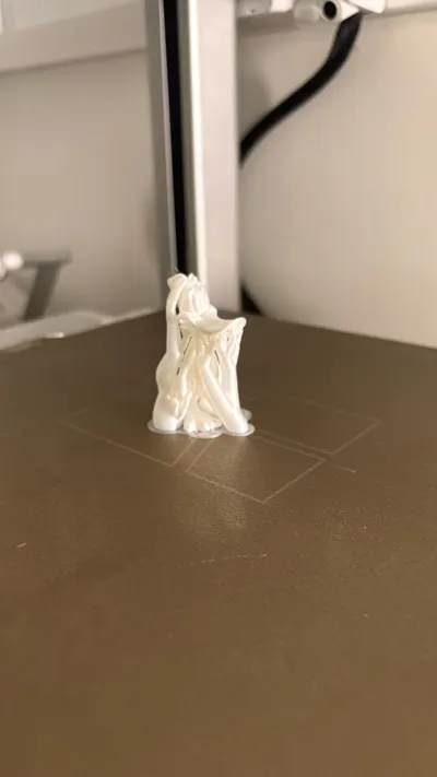 https://makerworld.bblmw.com/makerworld/comment/20260307/1847984265/9002cca6646c023a.jpg