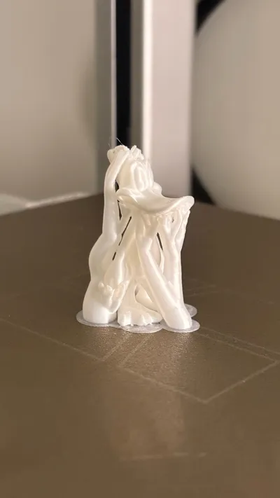 https://makerworld.bblmw.com/makerworld/comment/20260307/1847984265/ca39e14dd8f363c3.jpg