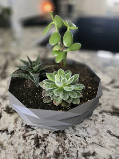 https://makerworld.bblmw.com/makerworld/comment/20260307/2220454505/82d42a463eaf15e0.jpg