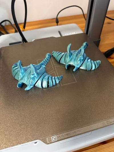https://makerworld.bblmw.com/makerworld/comment/20260307/2257316440/427861cac52495b1.jpeg