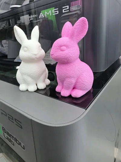 https://makerworld.bblmw.com/makerworld/comment/20260307/2517321069/af25476078b39a09.jpg