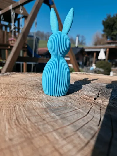 https://makerworld.bblmw.com/makerworld/comment/20260307/2651821203/45e913bd2fce3836.jpg