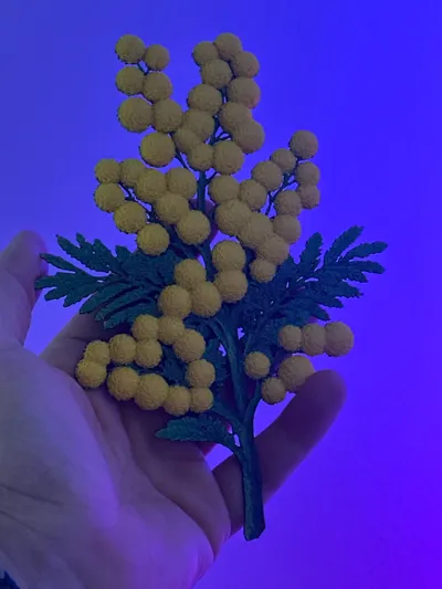 https://makerworld.bblmw.com/makerworld/comment/20260307/2820842200/167412e06a1b168b.jpg