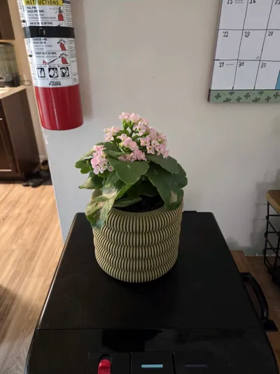 https://makerworld.bblmw.com/makerworld/comment/20260307/2867173870/59ffe6ea6e025049.jpg