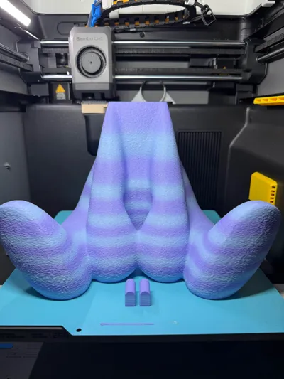 https://makerworld.bblmw.com/makerworld/comment/20260307/3043798453/9681b1dfd659ca84.jpg