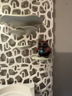 https://makerworld.bblmw.com/makerworld/comment/20260307/3208112036/eac6a57abbf2c08a.jpeg