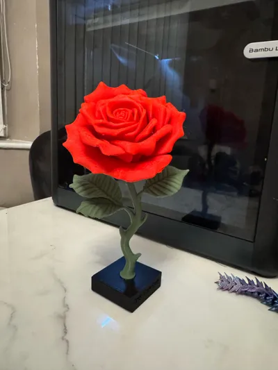 https://makerworld.bblmw.com/makerworld/comment/20260307/3485182212/d21e624443ac471a.jpg