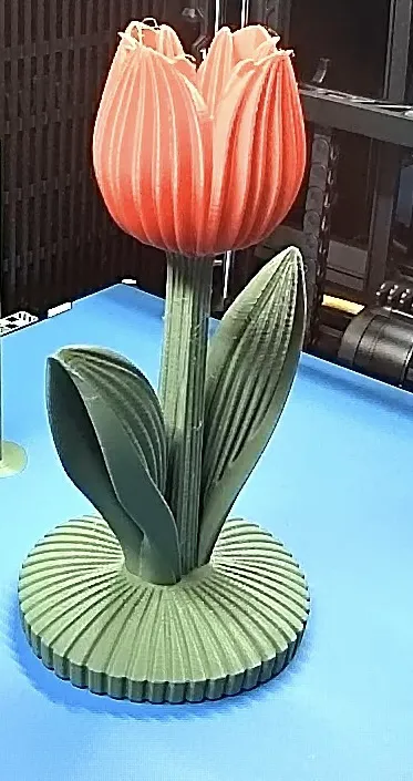 https://makerworld.bblmw.com/makerworld/comment/20260307/516115075/944f0c39724a0a95.jpg