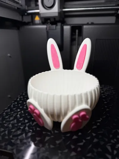 https://makerworld.bblmw.com/makerworld/comment/20260308/1146967647/efb3ce582129e0ca.jpg