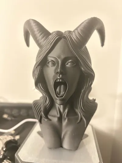 https://makerworld.bblmw.com/makerworld/comment/20260308/1312064460/dc6e287583bf5d39.jpg