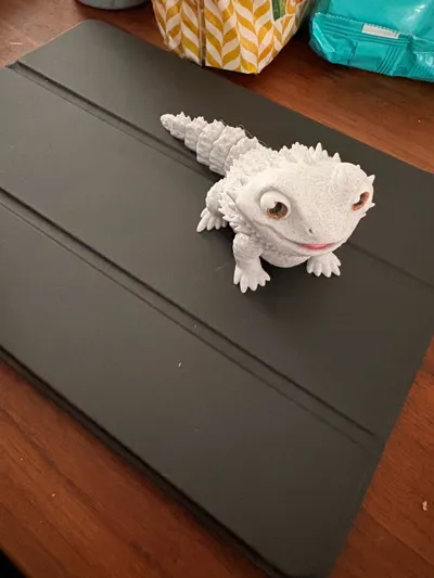 https://makerworld.bblmw.com/makerworld/comment/20260308/1675198682/6673be1937fe9edf.jpg