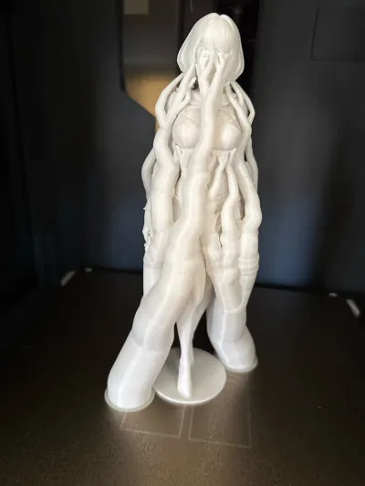 https://makerworld.bblmw.com/makerworld/comment/20260308/2173181066/373b6a0019cff5ff.jpg
