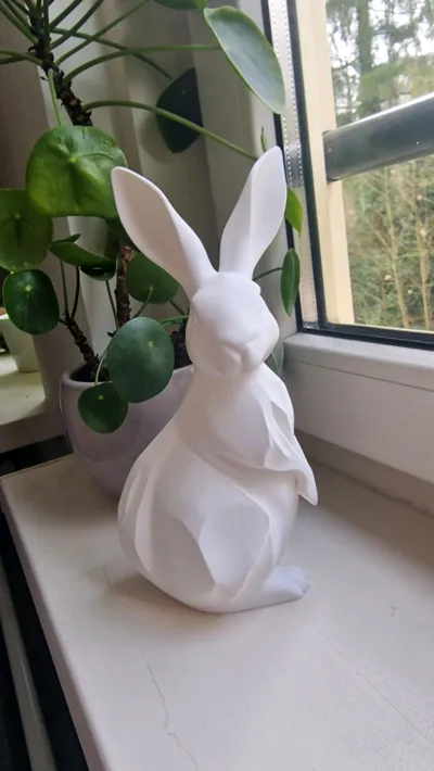 https://makerworld.bblmw.com/makerworld/comment/20260308/2395925293/00912939936528a0.jpg