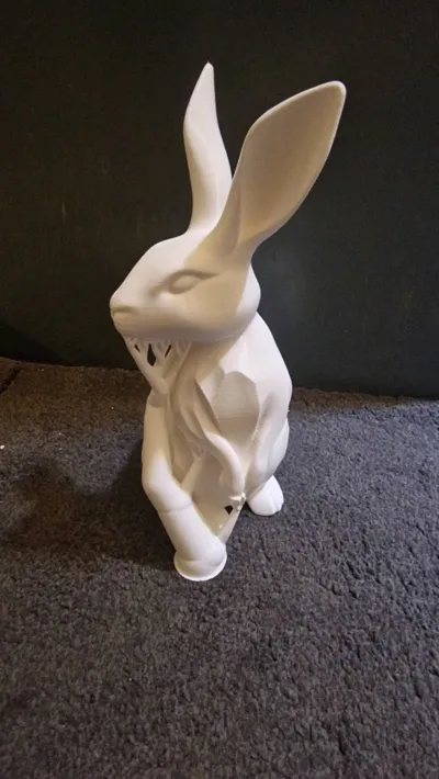 https://makerworld.bblmw.com/makerworld/comment/20260308/2395925293/7d6c0929218cf945.jpg