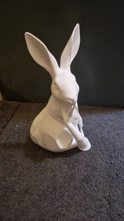 https://makerworld.bblmw.com/makerworld/comment/20260308/2395925293/89c1cbf546776dd6.jpg