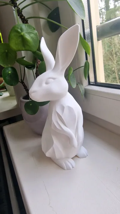https://makerworld.bblmw.com/makerworld/comment/20260308/2395925293/b9258c13ad885368.jpg